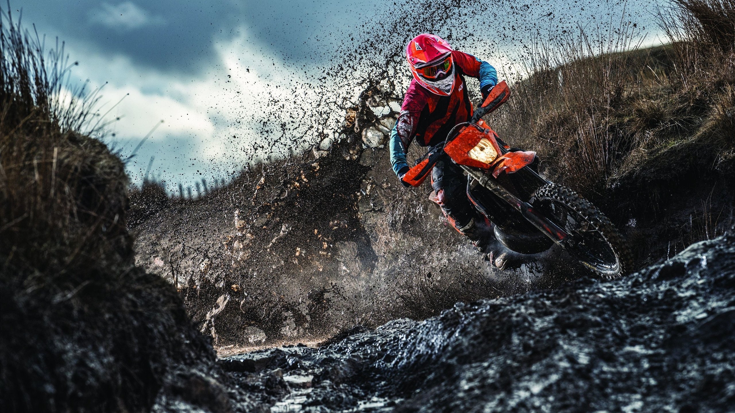 天梯攀爬挑战赛，迎接人生巅峰的勇气，攀天梯讲的是什么故事